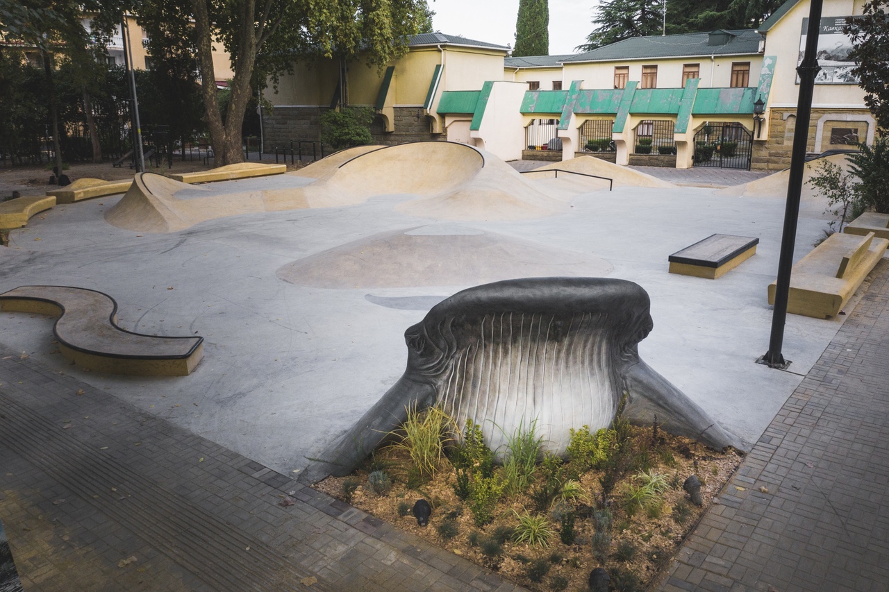 Кит, как элемент скейт-парка