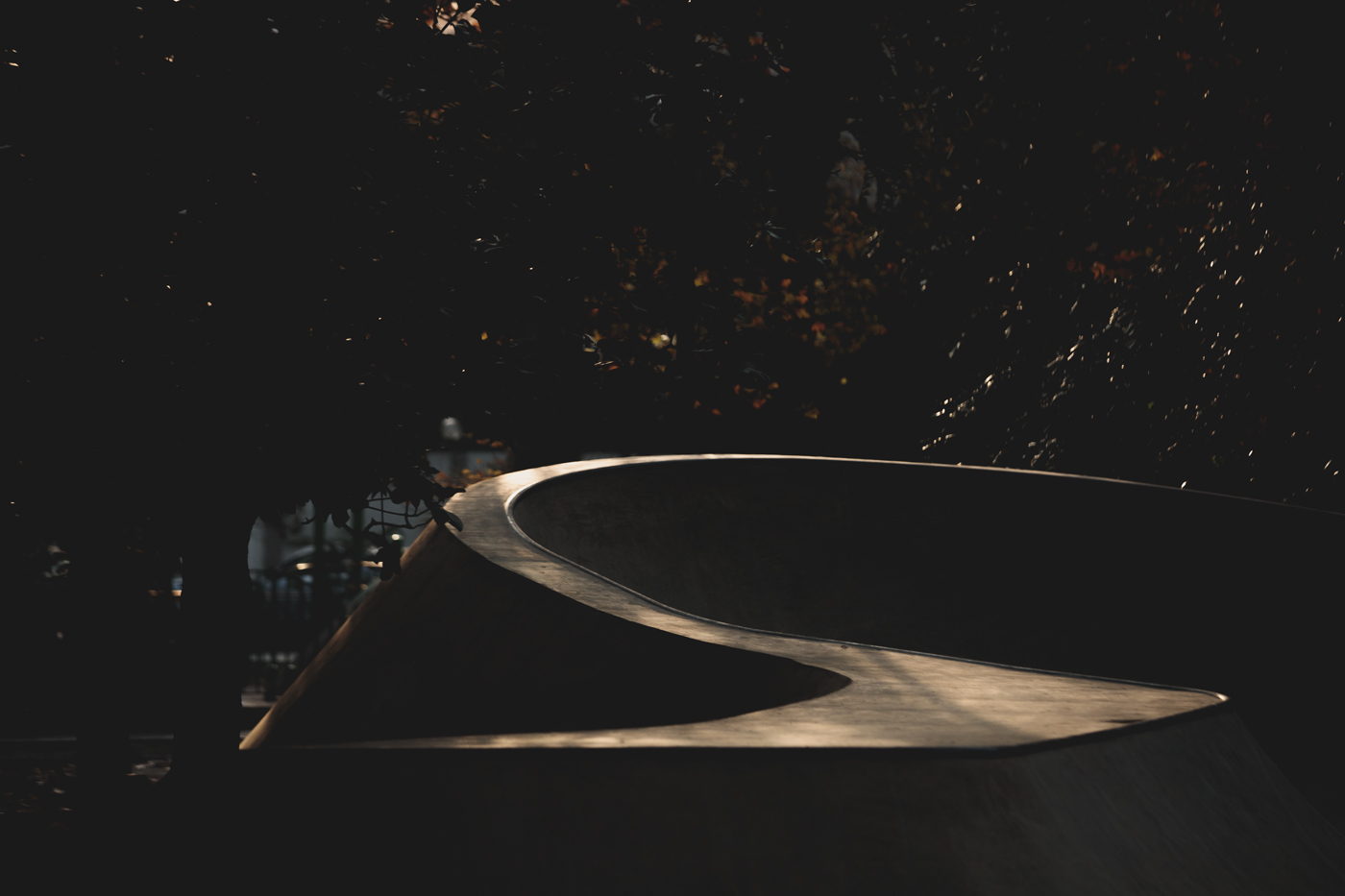 Металический коупинг в скейт-плазе Сочи