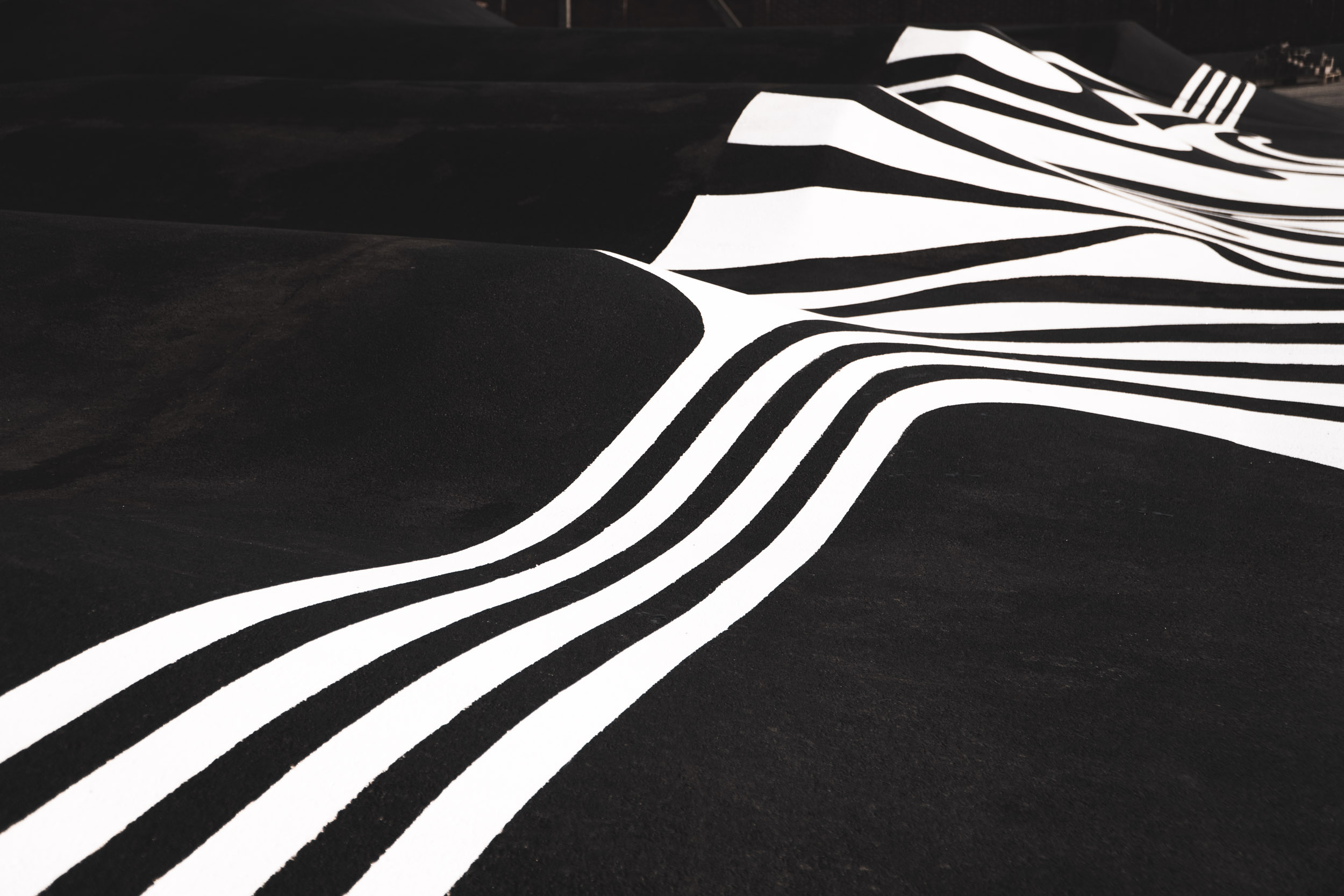 Графическое оформление асфалтового памп-трека от команды XSA Pump track выполненно дизайнером Константином Шалевым