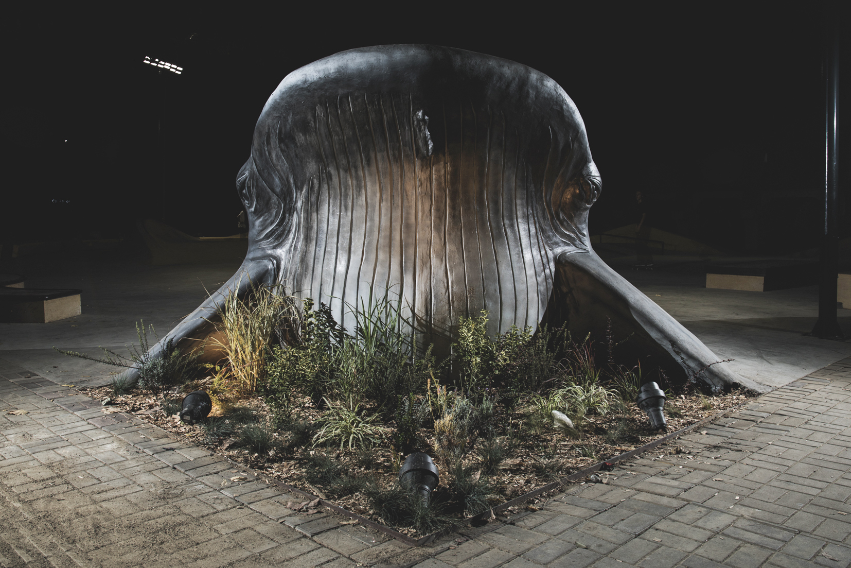 Кит в XSA Plaza Adler