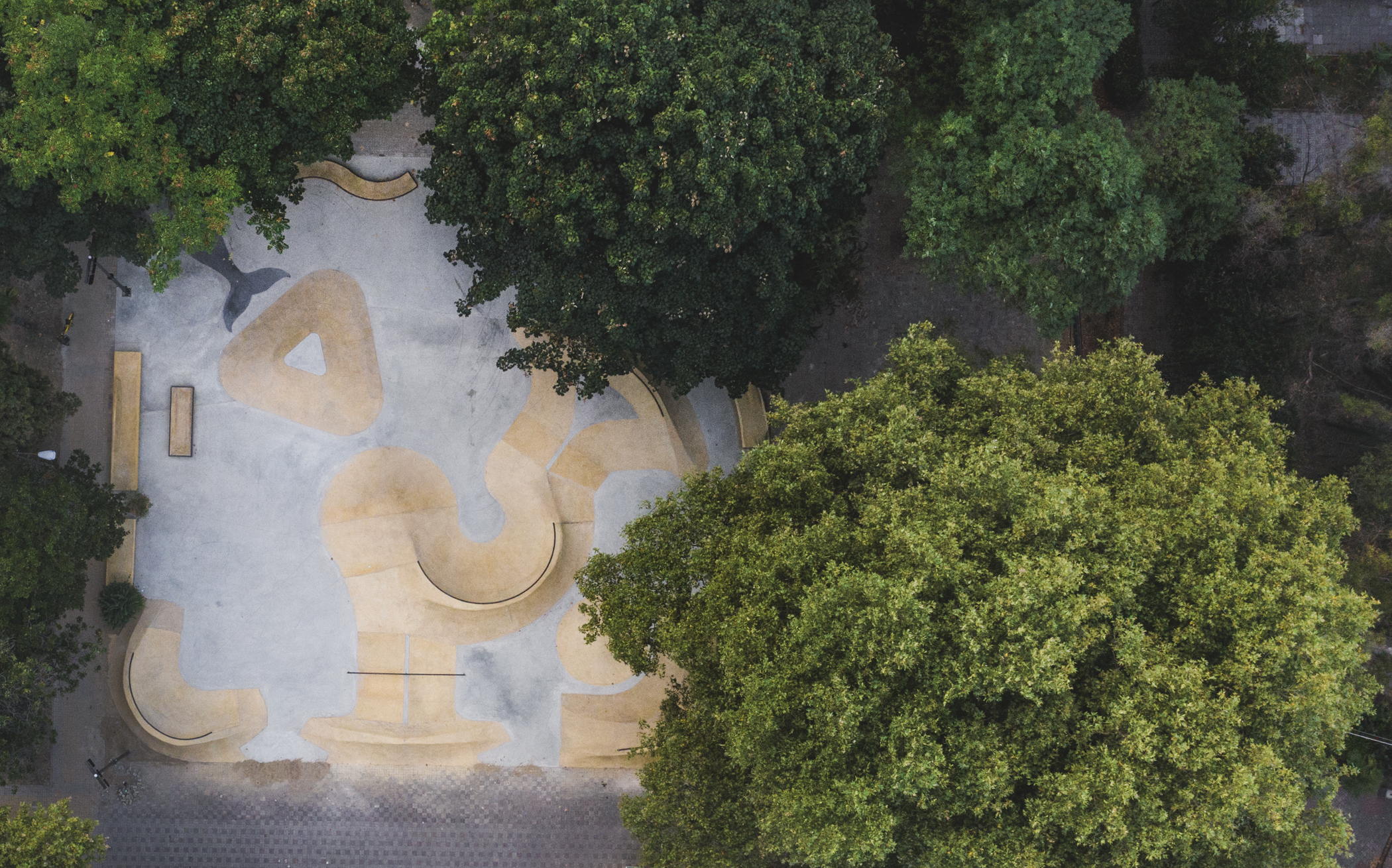 панарама XSA Plaza Adler