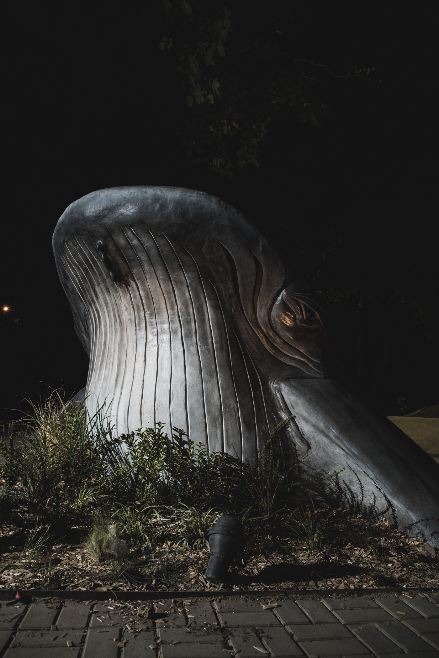 Элемент скейт-парка XSA Plaza Adler