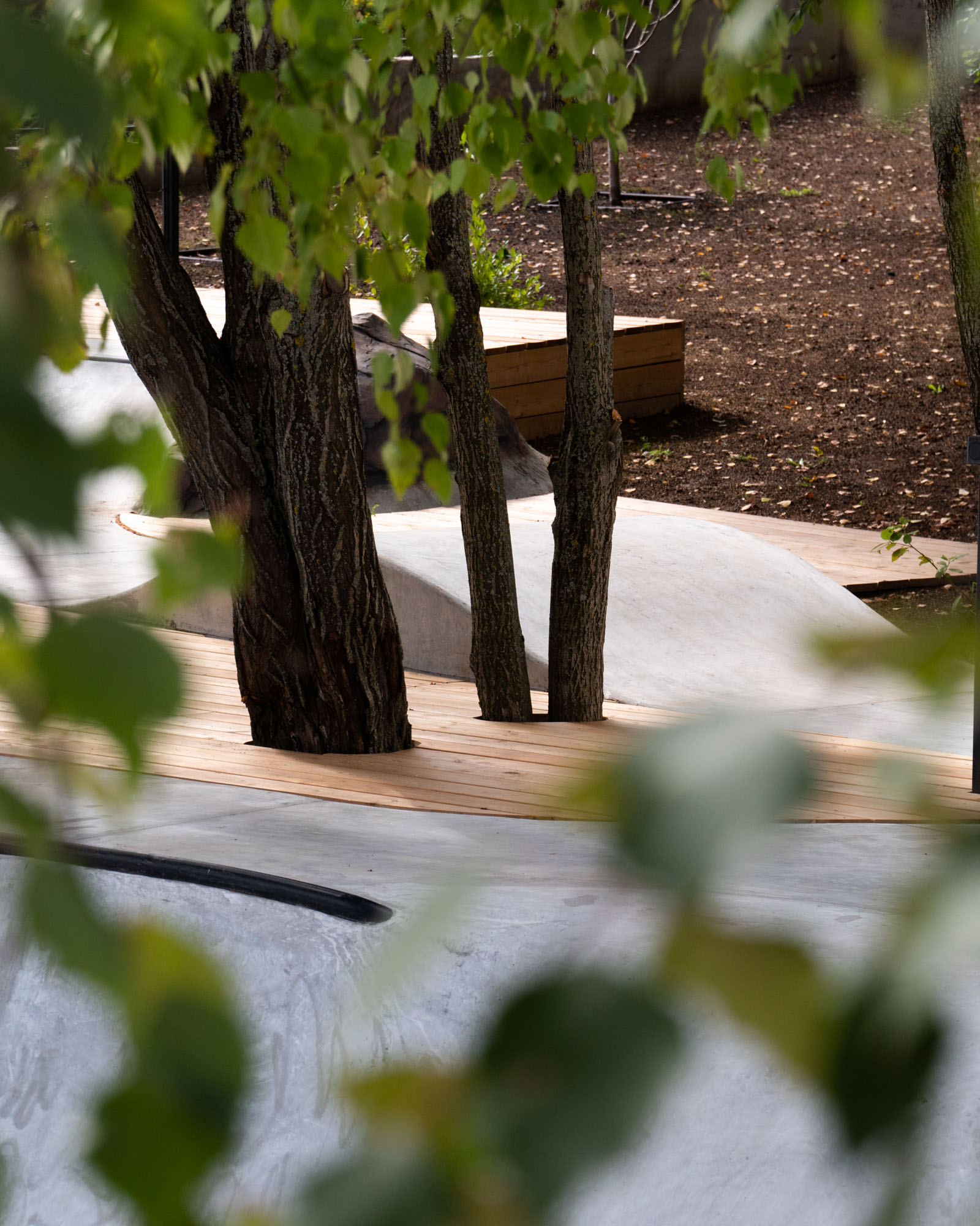 Работа с зелеными насаждениями от XSA