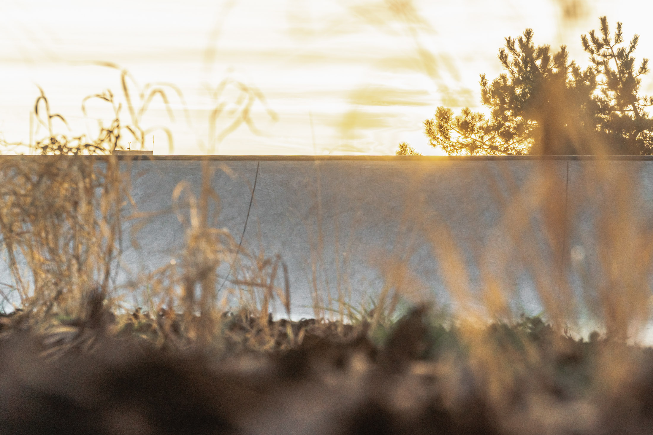 2023 XSA Ramps Бахчисарай бетонный  скейтпарк (Anton Zubkov)-02410