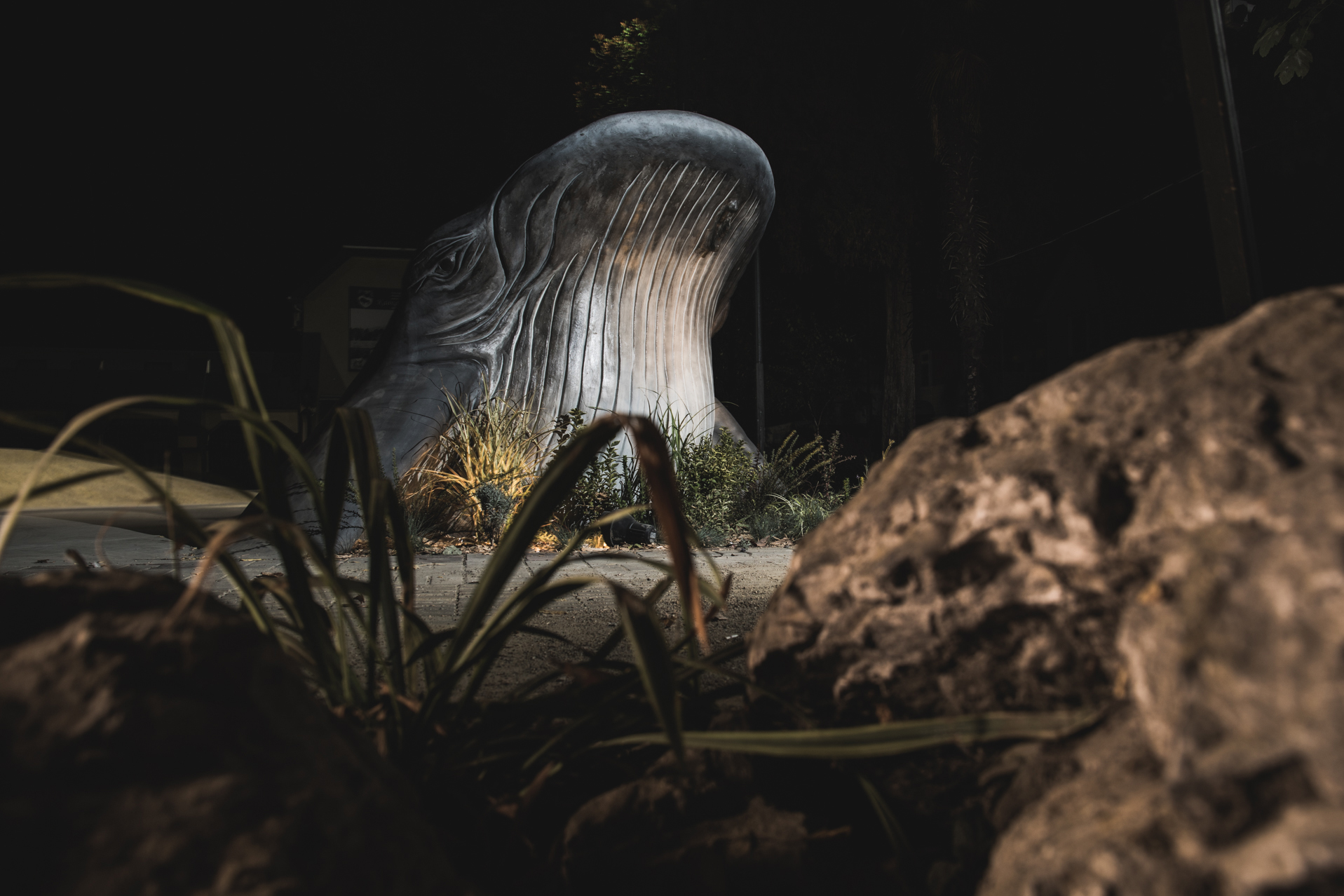 ff13176aa6201c7928e9c0ce1a6ea14d