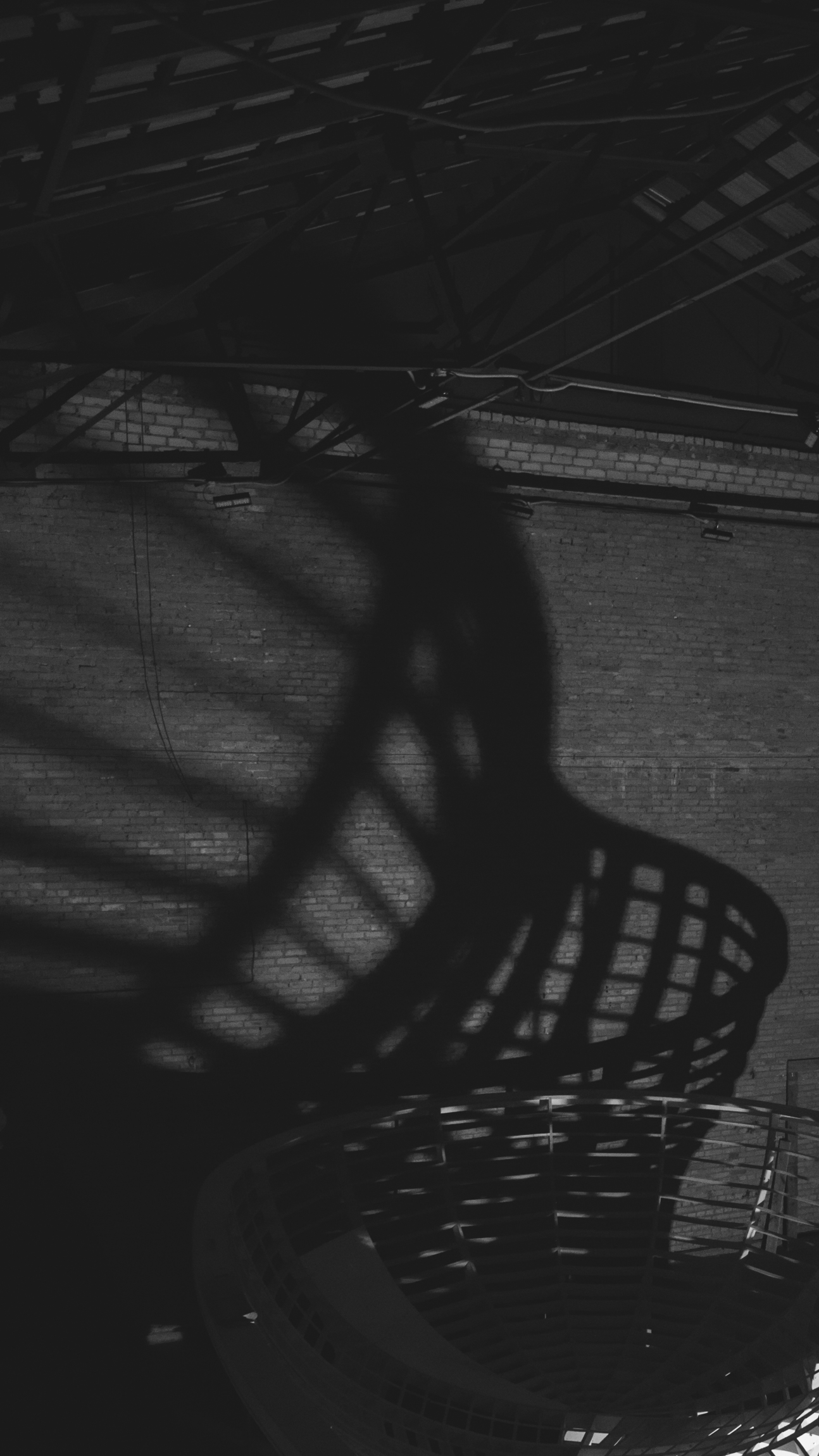 Каркас боула Алвара Аалто от XSA Ramps