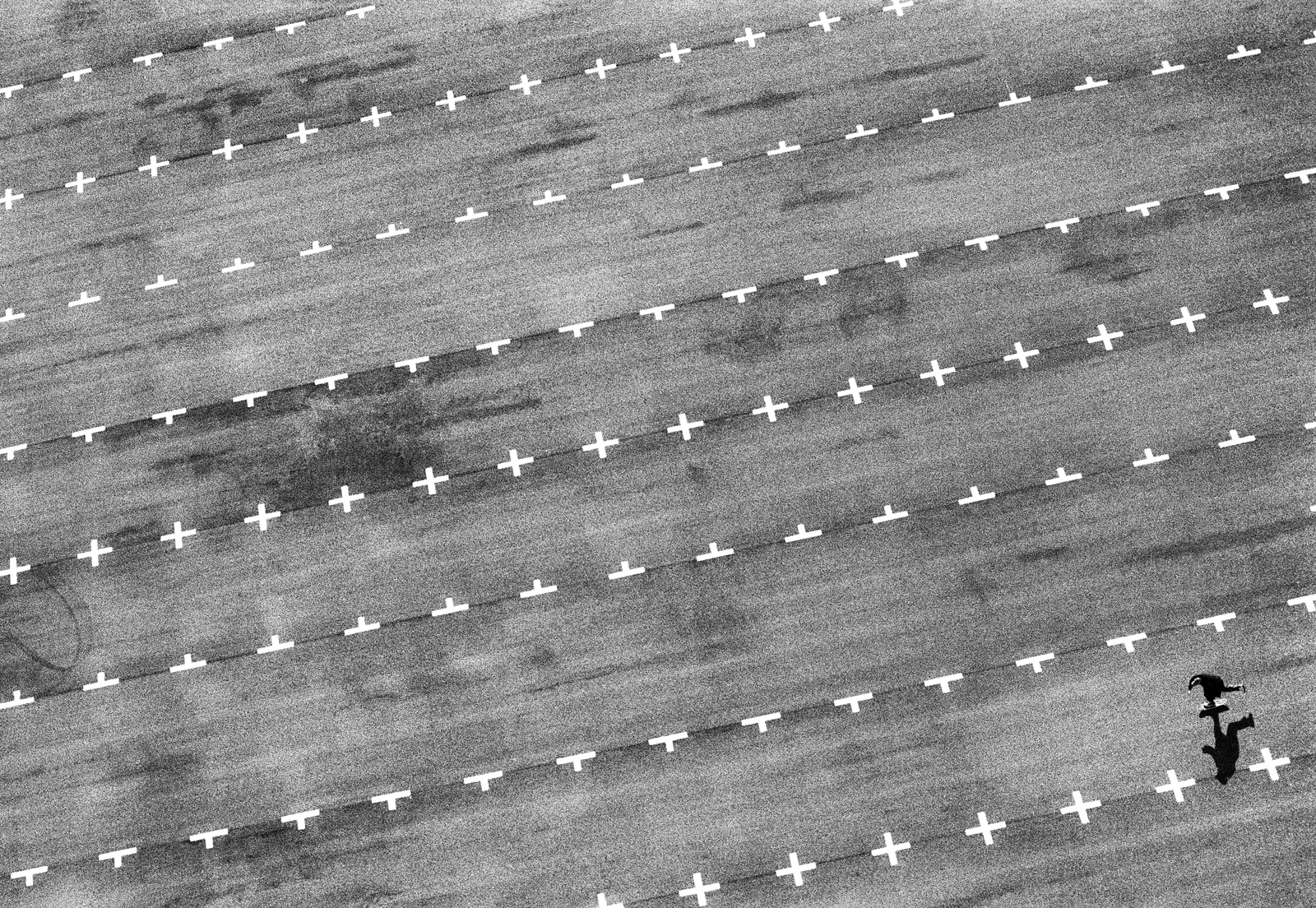 Райдер едет на фоне дорожной разметки (вид сверху)